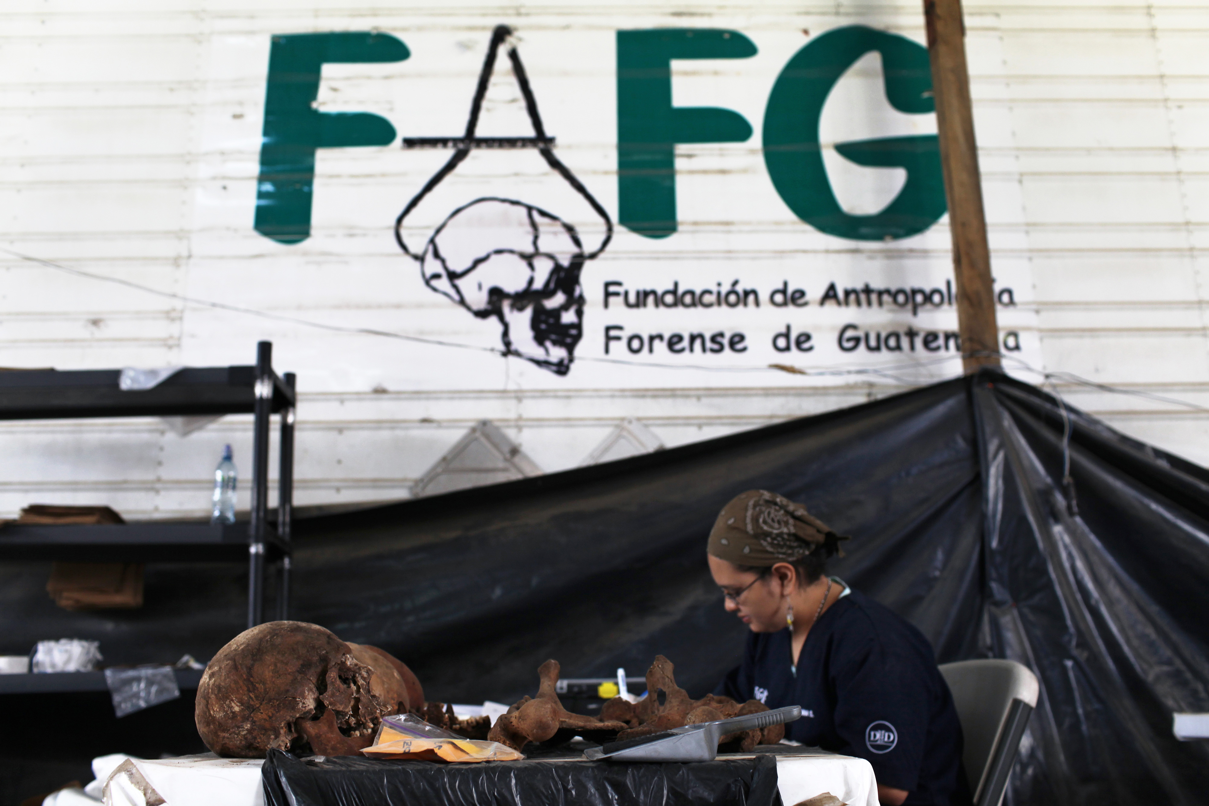 A person working with skeletal remains