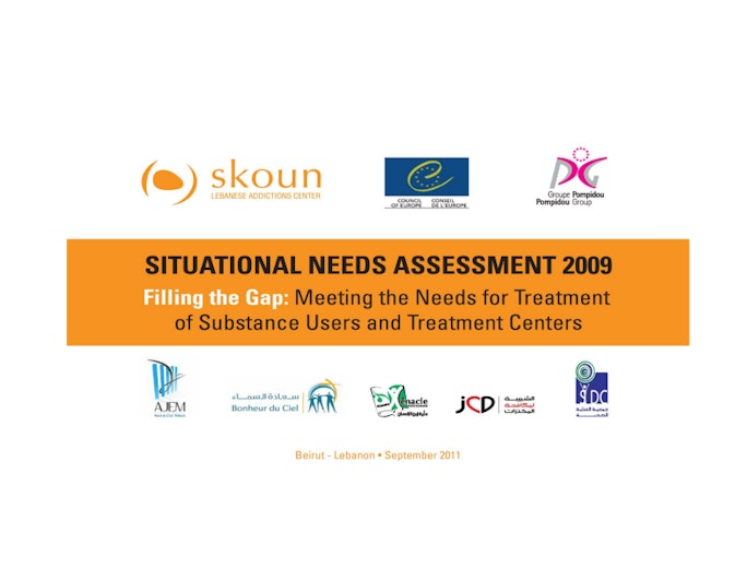 First page of PDF with filename: skoun-situational-needs-assessment-20111114_0.pdf