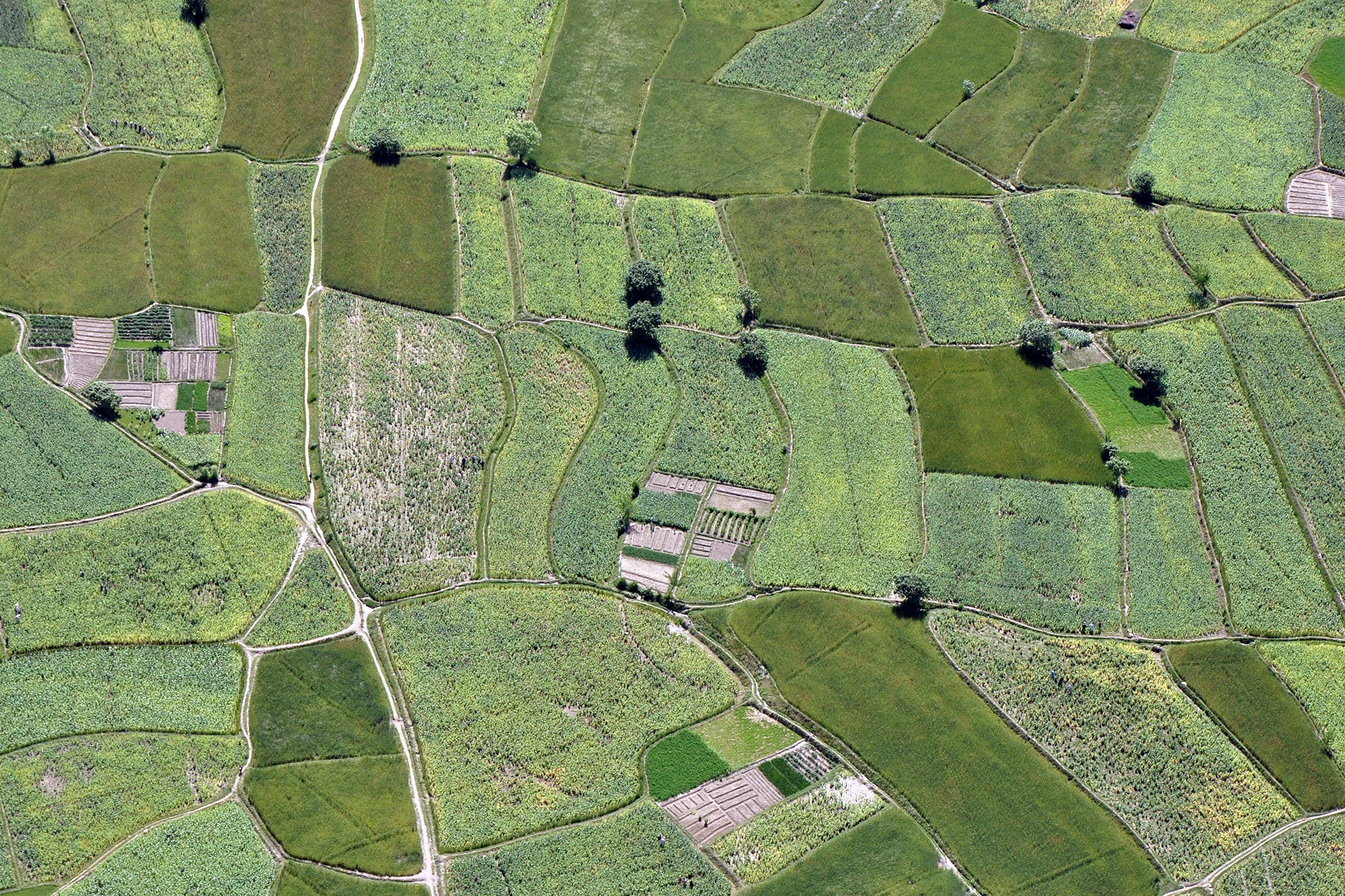 An aerial photo of green fields.