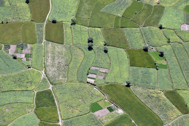 An aerial photo of green fields.