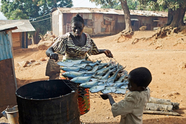 A woman and child carrying a rack of fish