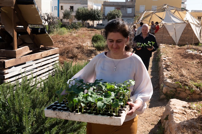 Una donna porta delle piante in un orto
