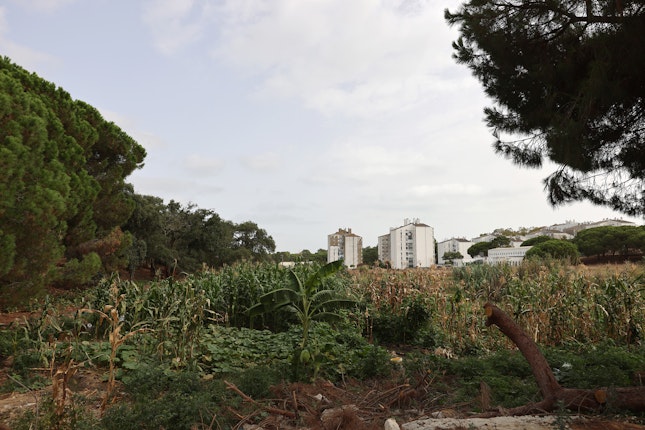 Scenes of the open spaces in Quinta da Princesa neighborhood, taken during a research visit.