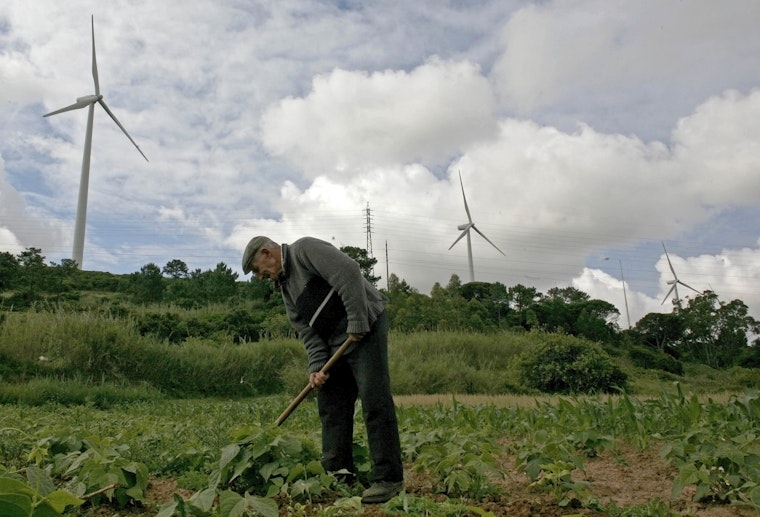A farmer works near wind turbines