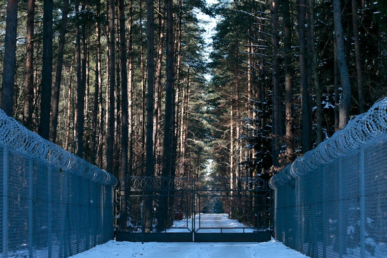 Military facility in a forest
