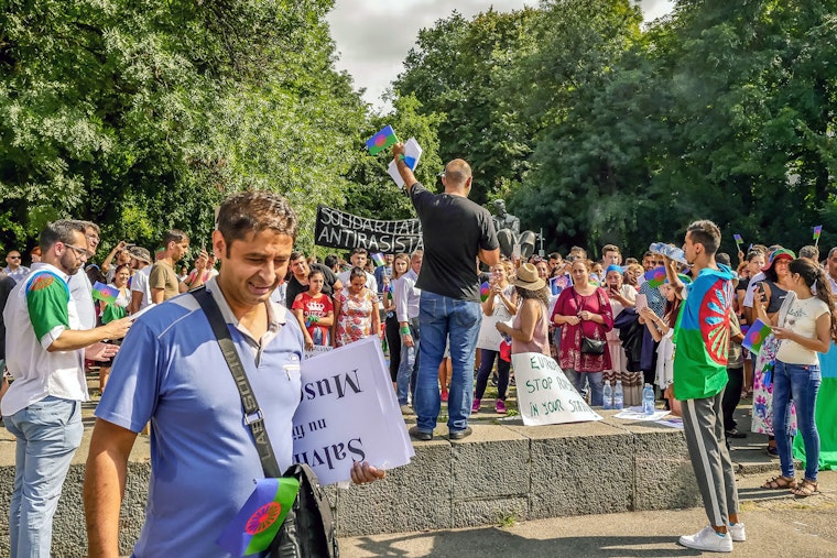 A group of people holding Romani flags and signs in a park
