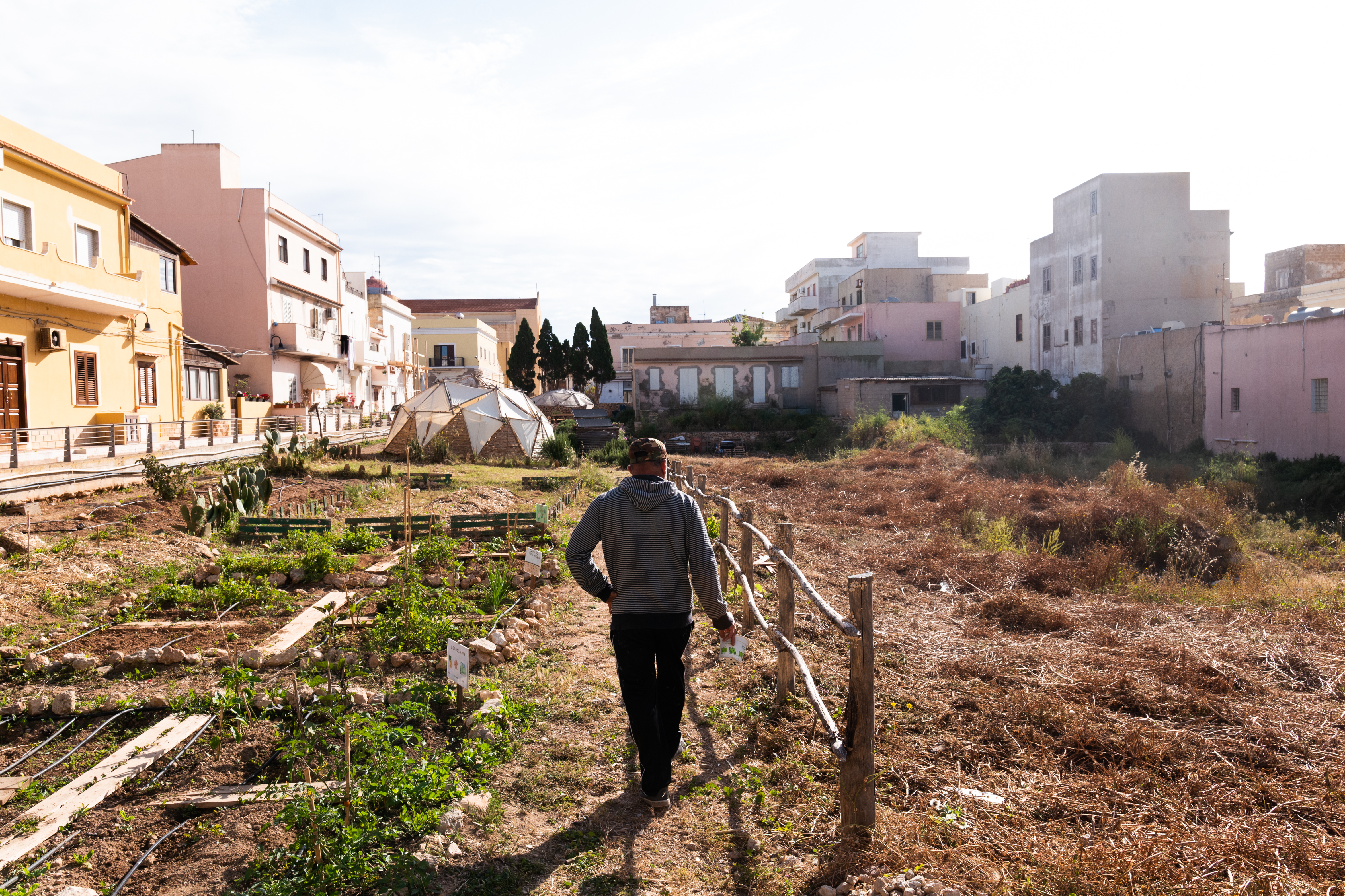 A man walking along a newly planted garden