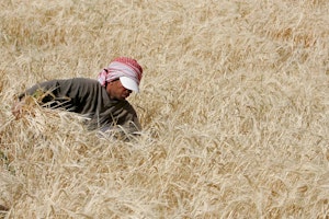 A worker in a field