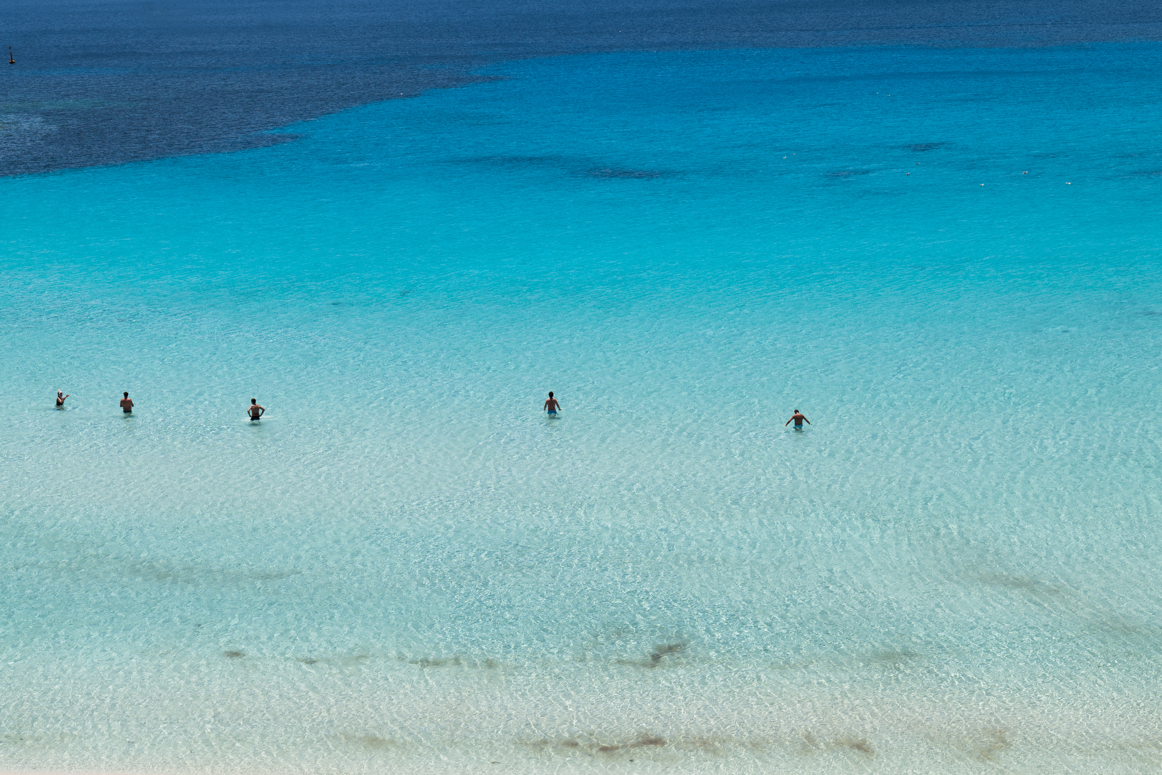 People standing in shallow water