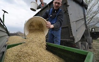 A person pours a large bucket of grain