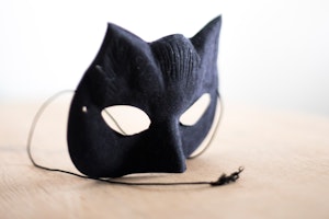 “This is a mask I wore at some photoshoots to hide a bit of my identity. It’s strange, because, all the time, I have this feeling that I’m lying—but, of course, I lie about other topics at work. I tell clients I enjoyed a session even though I did not, for example. So, it’s this constant thing of wearing a mask.” Photo credit: Objects of Desire A cat mask on a table