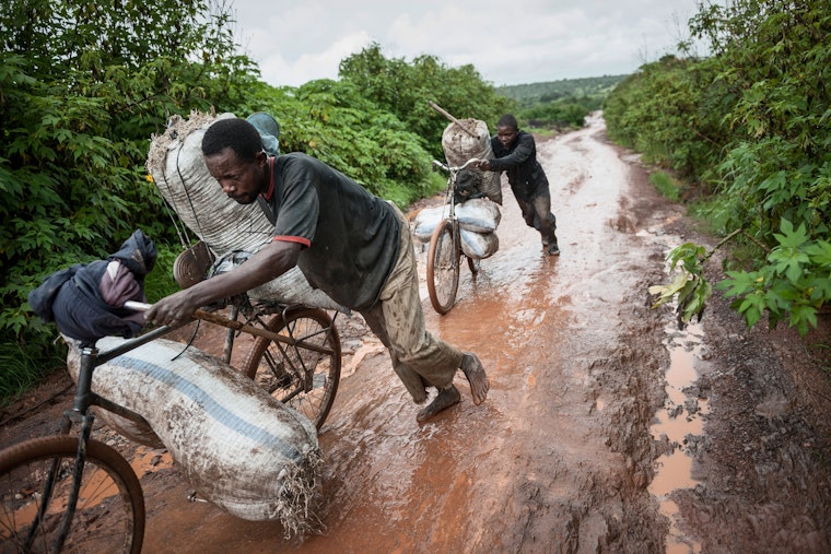 Two miners transport copper and cobalt ore by bicycle