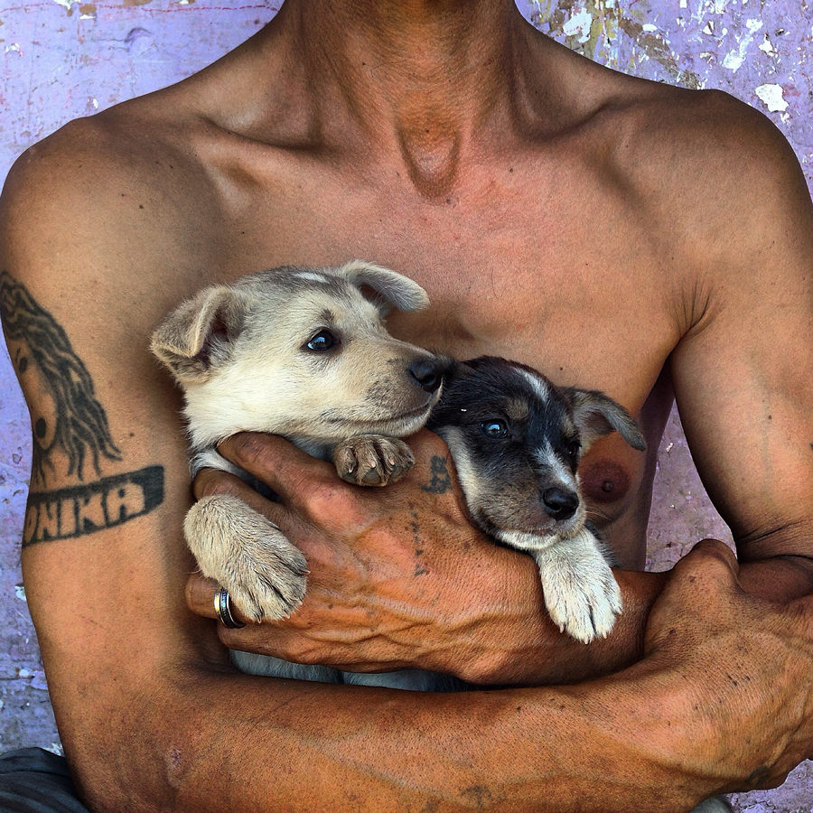 A man holding puppies
