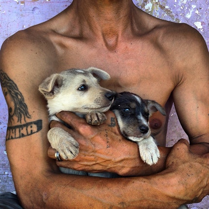 A man holding puppies