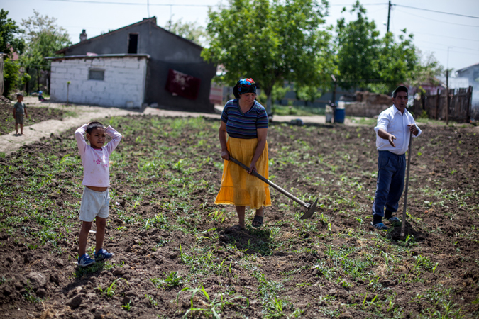 A family growing crops