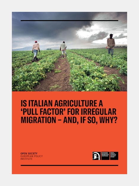Is Italian Agriculture “Pull Factor” for Irregular Migration—And