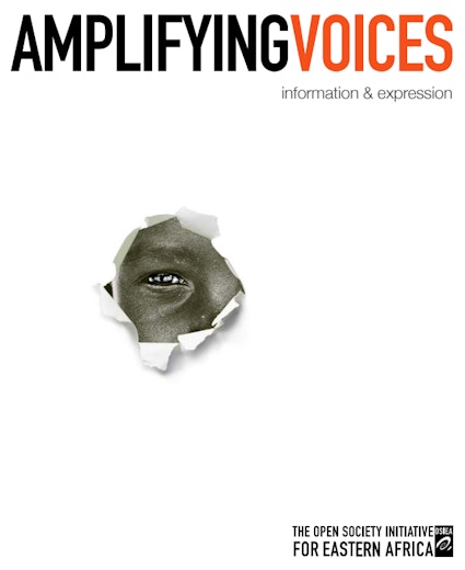 First page of PDF with filename: amplifying-voices-20130901.pdf