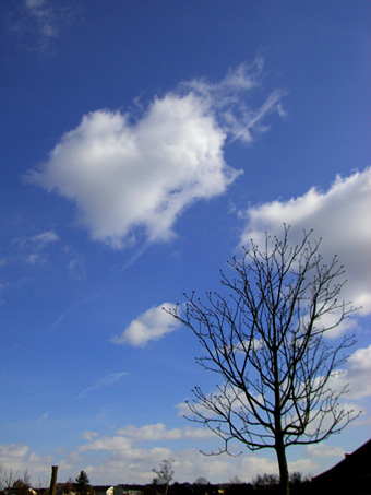 Clouds in a blue sky