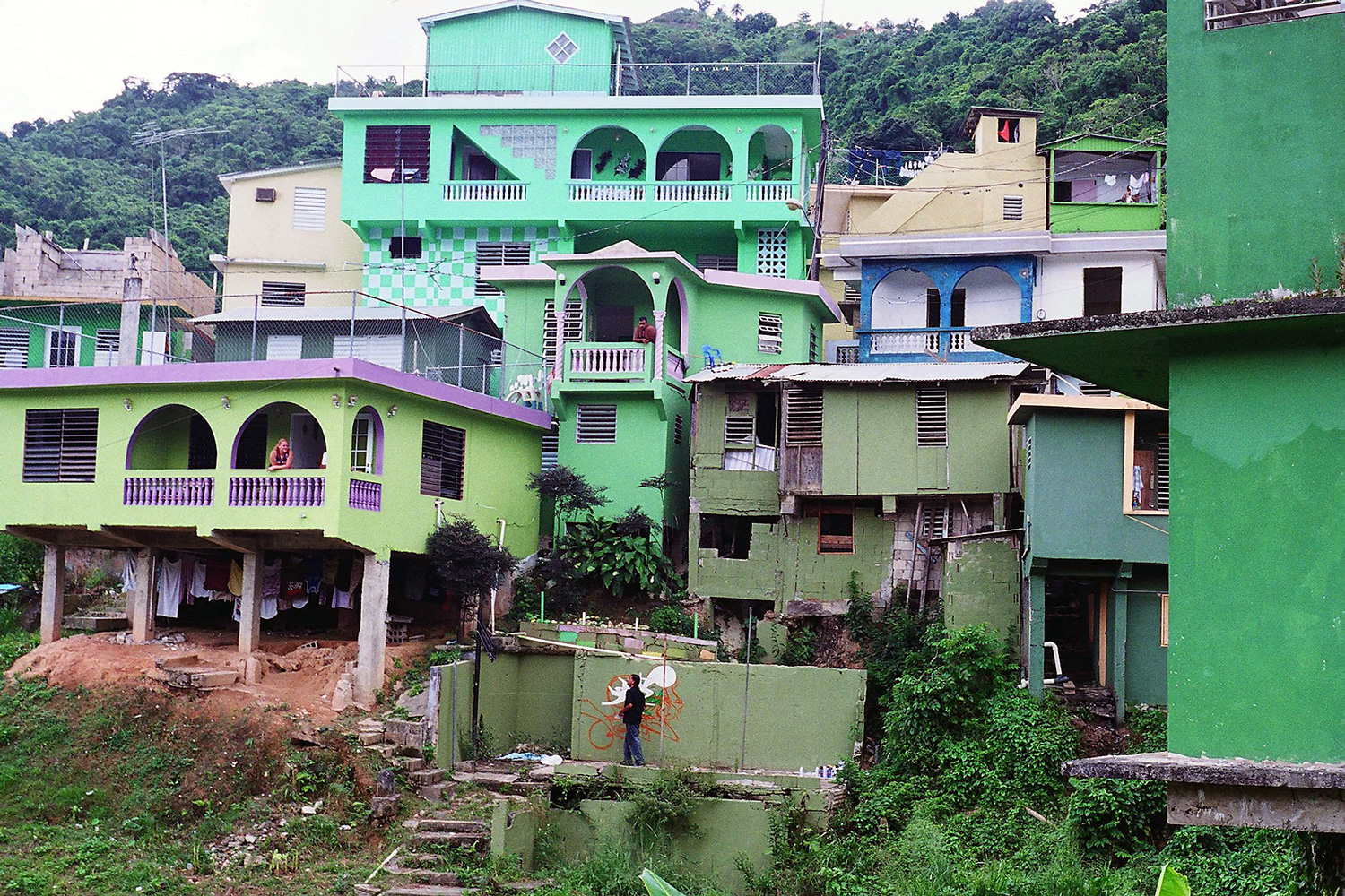 A landscape view of homes painted different shades of green.