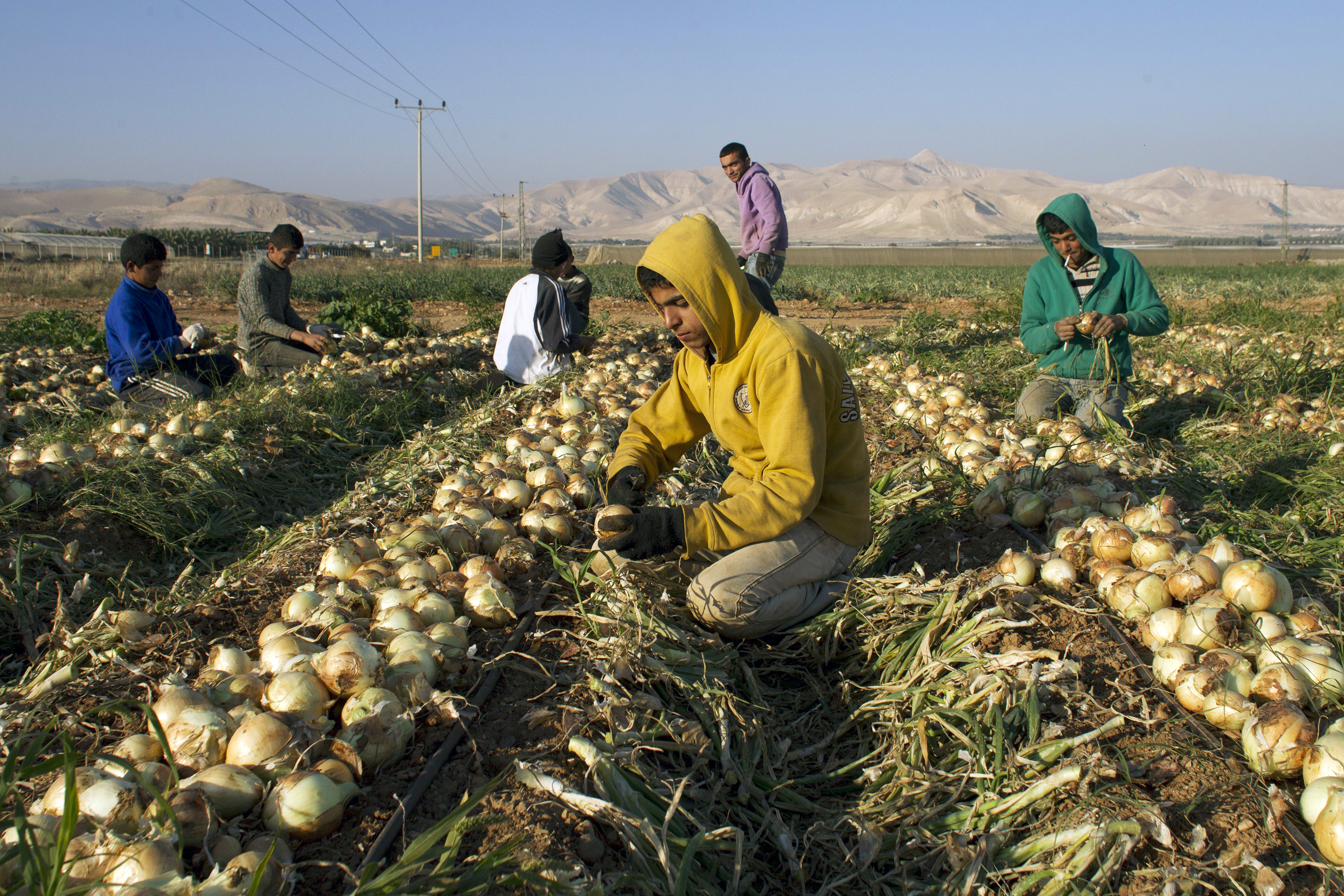 How Businesses Profit From Israeli Settlements - Open Society Foundations