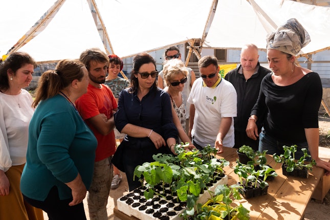 As a group of people from the disability center look on, two volunteers note the growth of pumpkin and zucchini seedlings in the Terra! Garden, in Lampedusa, Italy. Photo credit: © Clara Vannucci for the Open Society Foundations A group of people standing over unplanted seedlings
