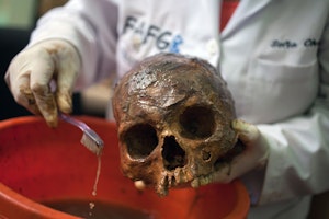 A lab technician cleaning a human skull