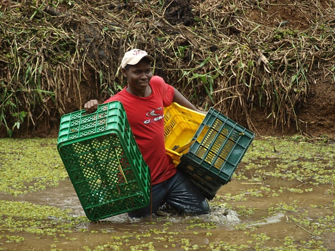 cultivating-future-20111114 Emmanuel Mark Fornah